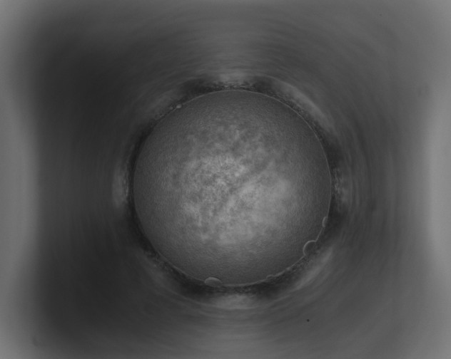 X0000100930593200806241407