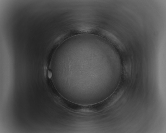 X0000100930596200806241407