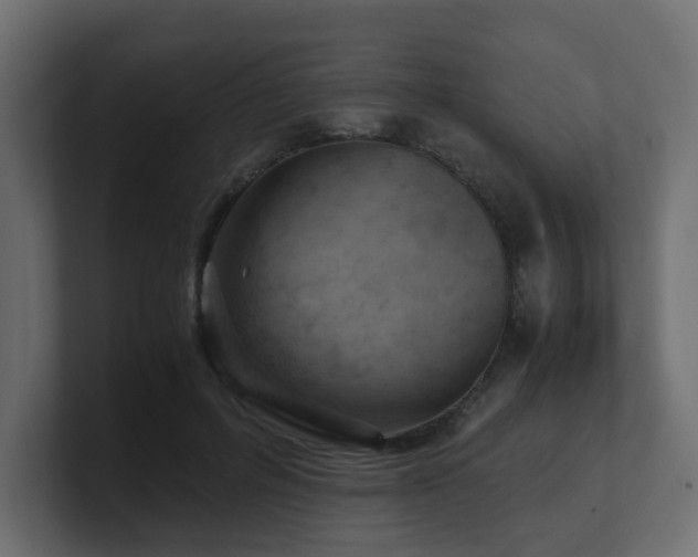 X0000100930600200806241407