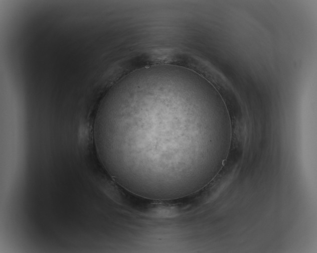 X0000100930601200806241407