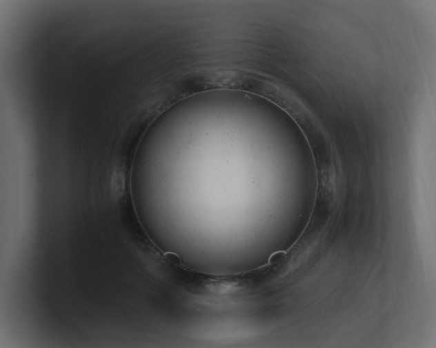 X0000100930602200806241407