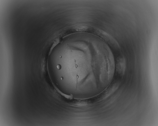 X0000100930604200806241407