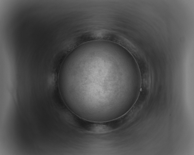 X0000100930605200806241407