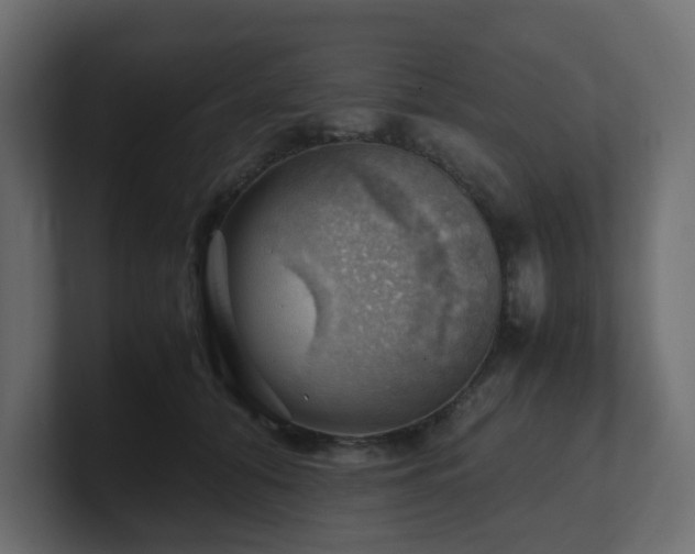 X0000100930608200806241407