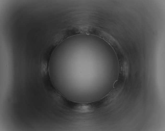 X0000100930610200806241407