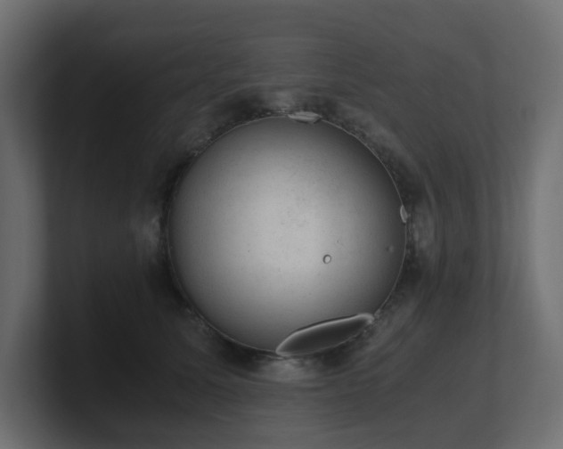 X0000100930611200806241407