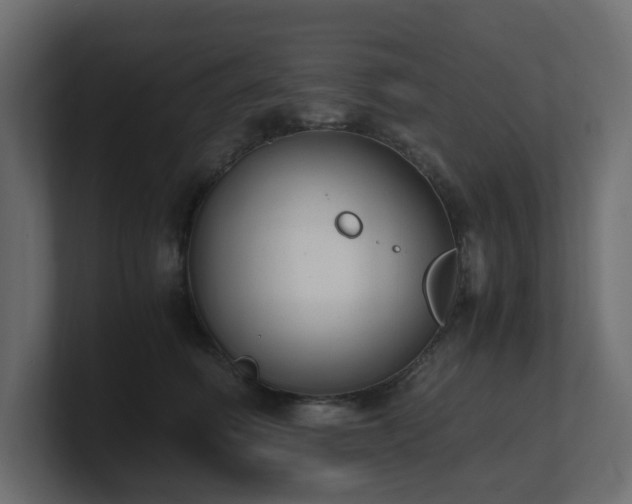 X0000100930614200806241407