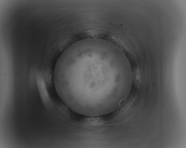 X0000100930615200806241407