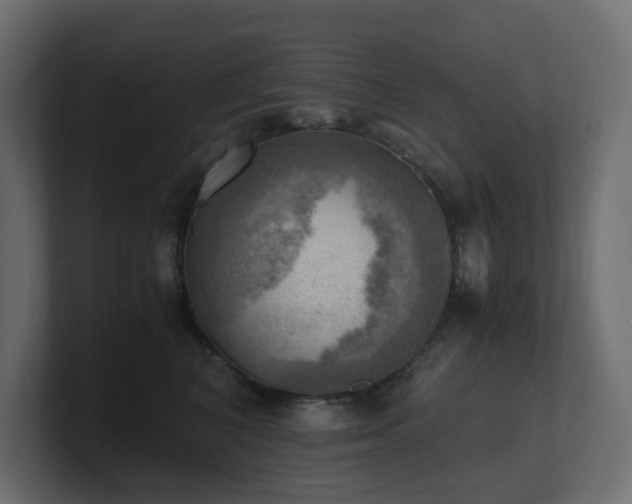 X0000100930616200806241407