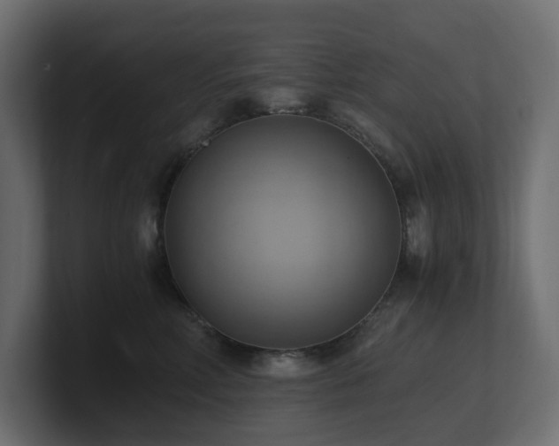 X0000100930618200806241407