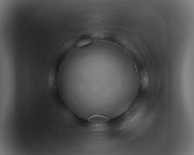 X0000100930619200806241407