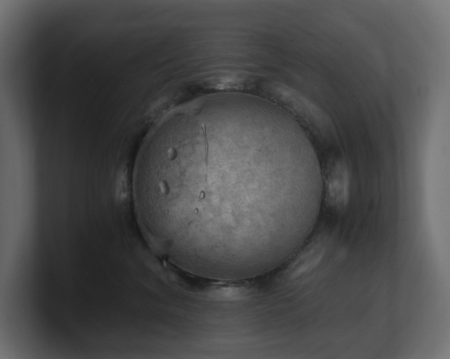 X0000100930620200806241407