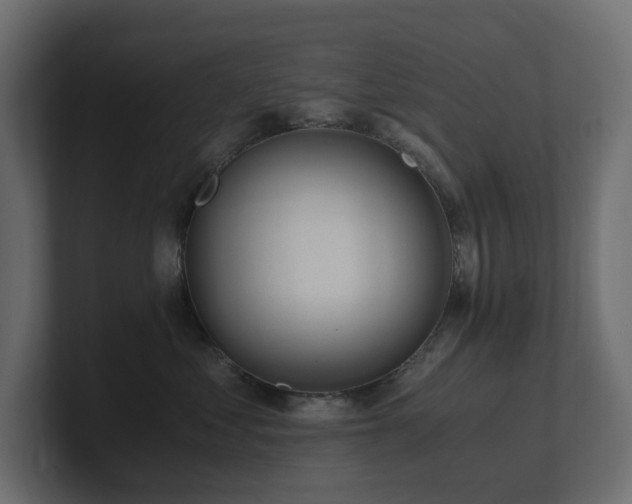 X0000100930621200806241407