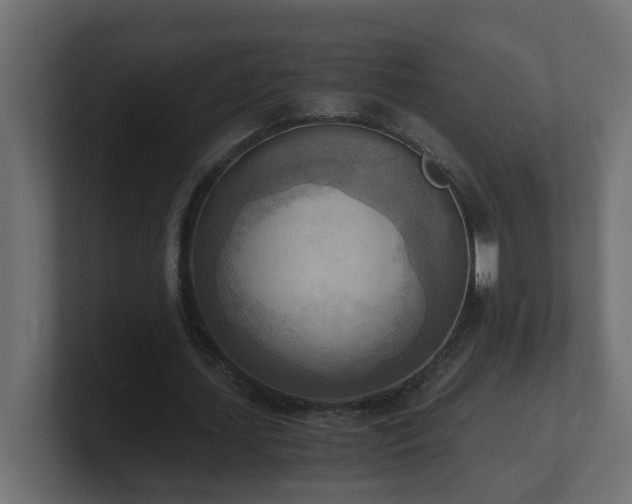 X0000100930627200806241406