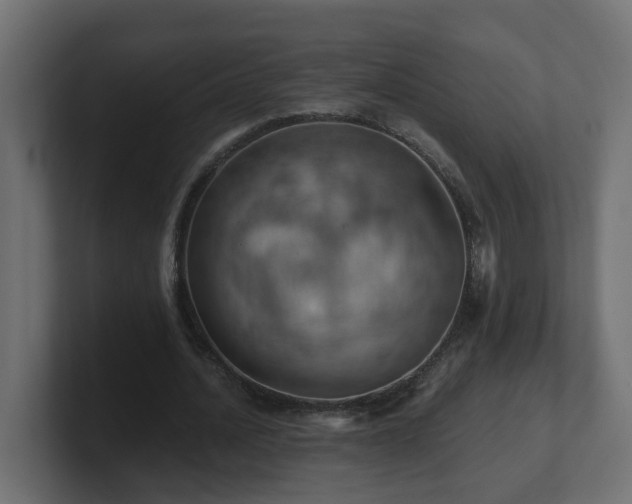 X0000100930628200806241406