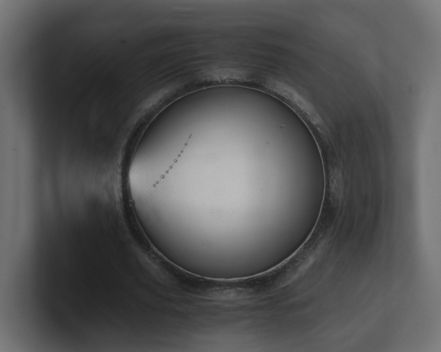 X0000100930629200806241406