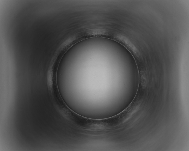 X0000100930631200806241406