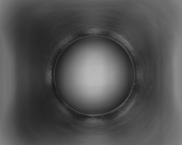 X0000100930633200806241406