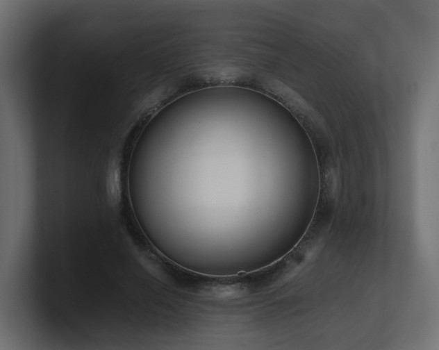 X0000100930638200806241406