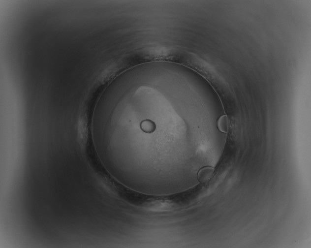 X0000100930642200806241406