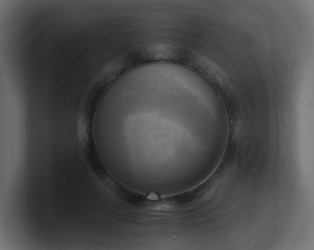 X0000100930643200806241406