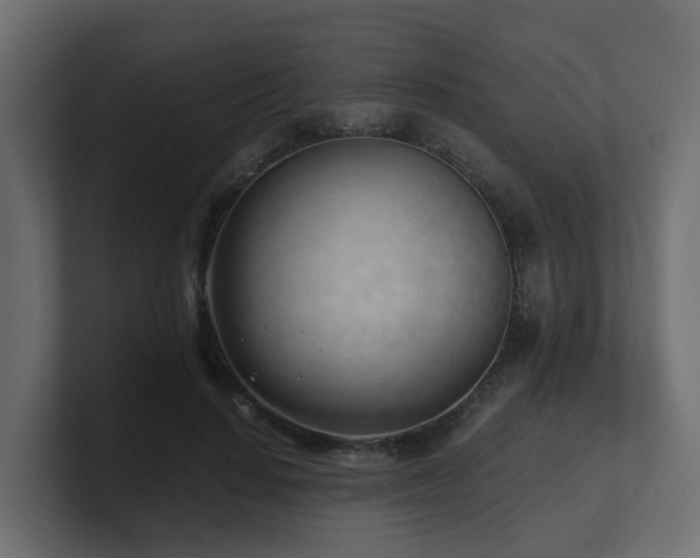 X0000100930644200806241406