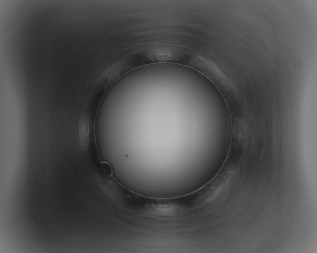 X0000100930645200806241406