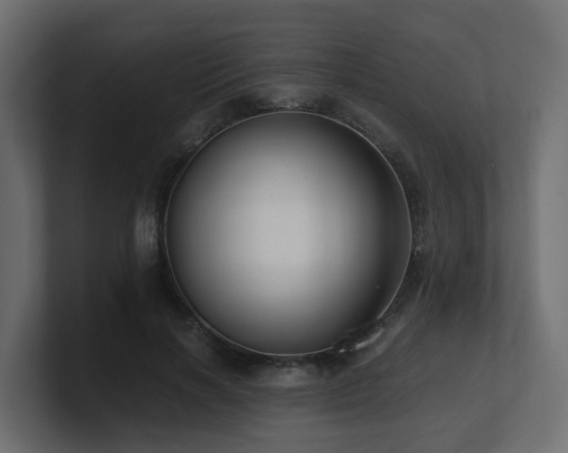 X0000100930646200806241406