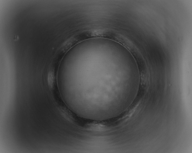 X0000100930648200806241406