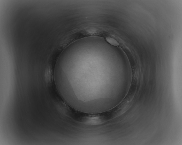 X0000100930651200806241406