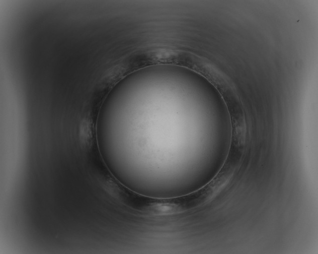 X0000100930654200806241406