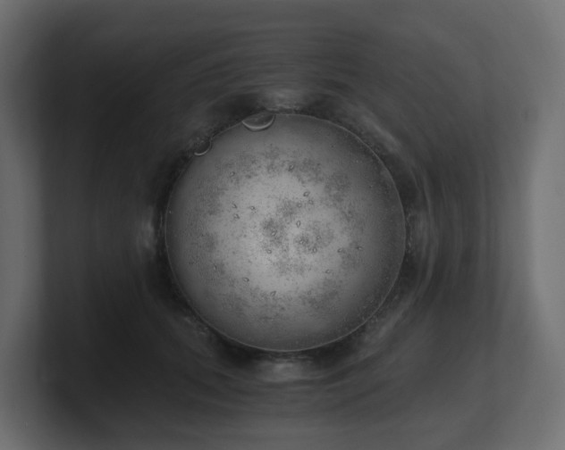 X0000100930655200806241406