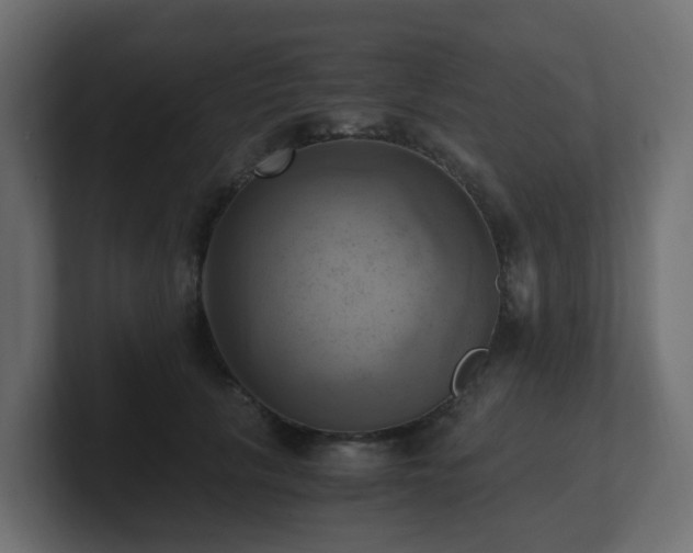 X0000100930657200806241406