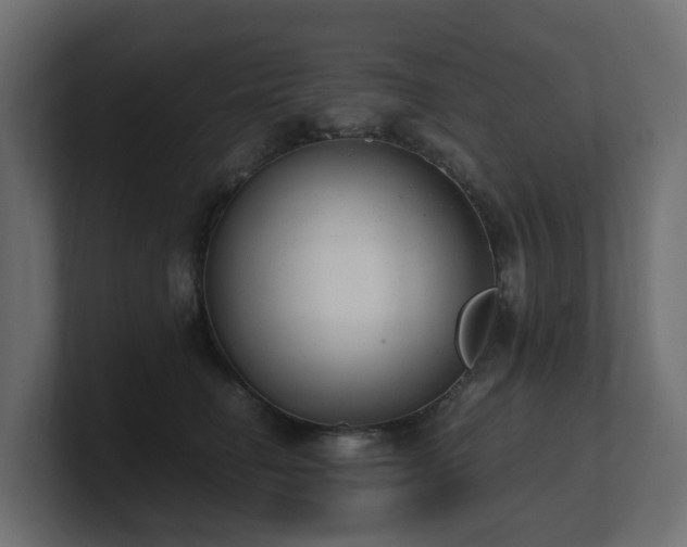 X0000100930662200806241406