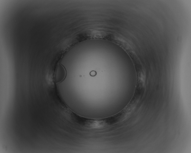 X0000100930663200806241406