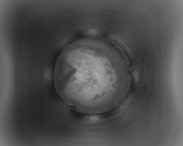 X0000100930665200806241406