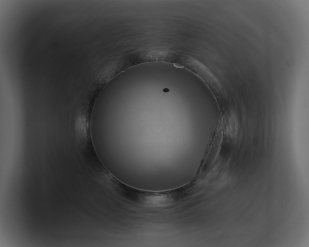 X0000100930669200806241406