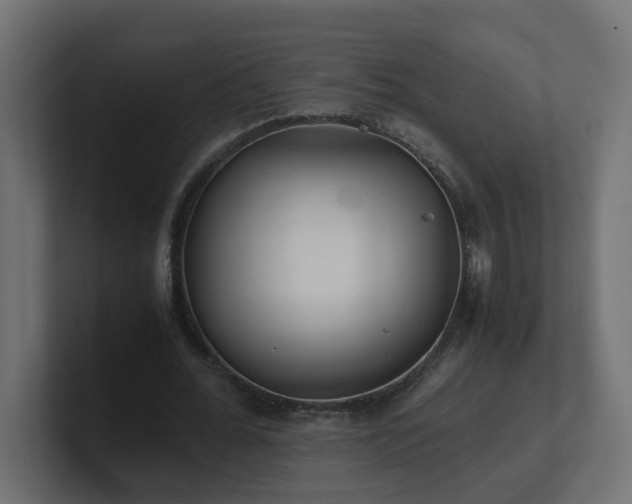 X0000100930676200806241406