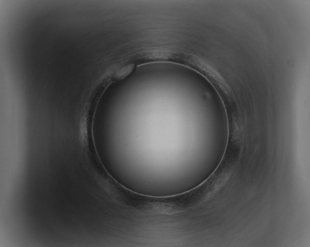 X0000100930681200806241406