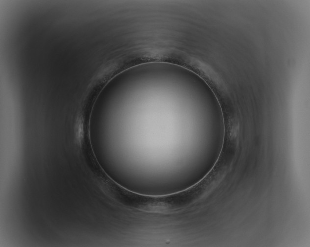 X0000100930685200806241406