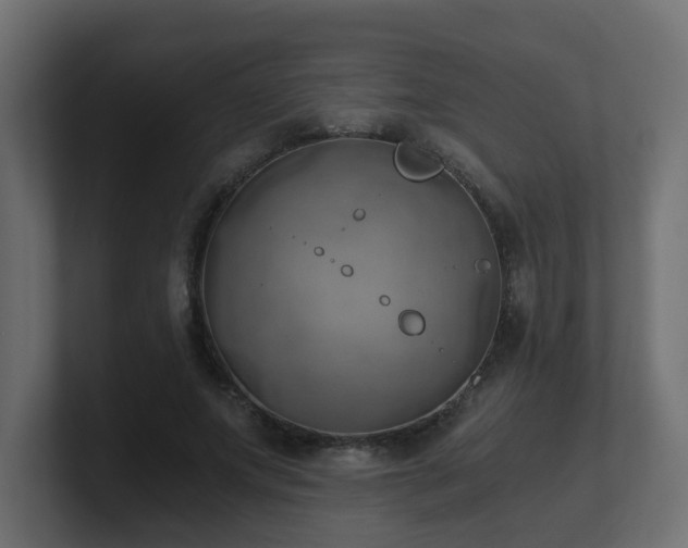 X0000100930687200806241406