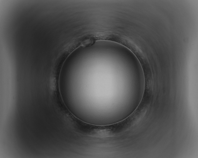 X0000100930689200806241406