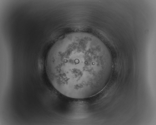 X0000100930695200806241406