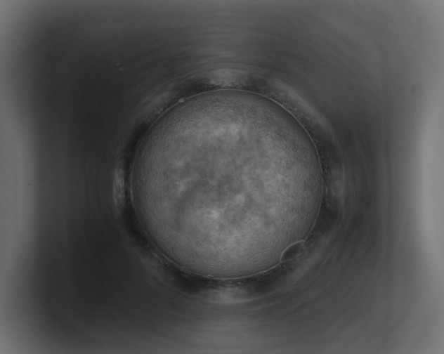 X0000100930696200806241406