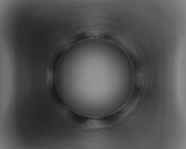 X0000100930699200806241405