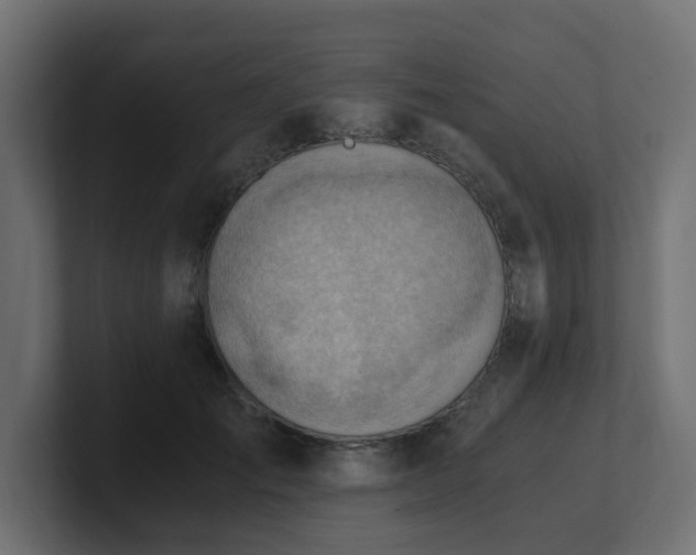 X0000100930701200806241405