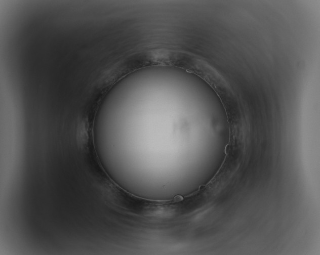 X0000100930702200806241405