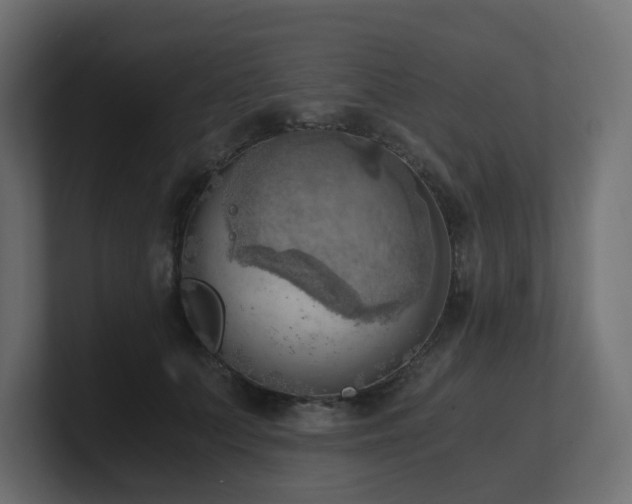 X0000100930703200806241405