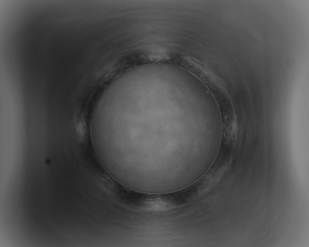 X0000100930704200806241405