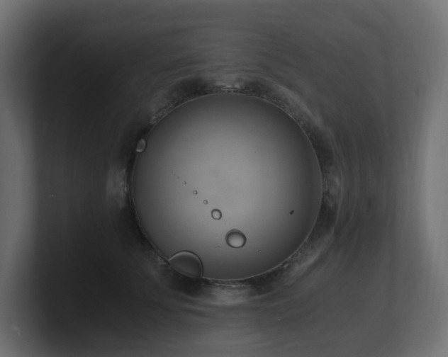 X0000100930707200806241405